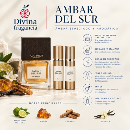 Ambar del Sur