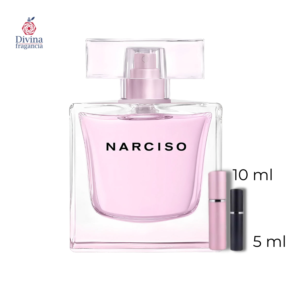 NARCISO RADIAN﻿TE