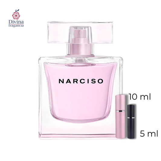 NARCISO RADIAN﻿TE